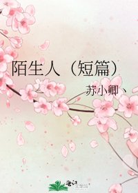 陌生人（短篇）